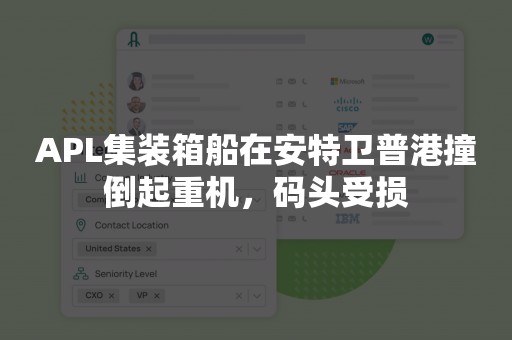 APL集装箱船在安特卫普港撞倒起重机，码头受损