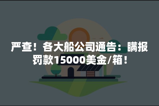 严查！各大船公司通告：瞒报罚款15000美金/箱！