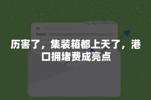历害了，集装箱都上天了，港口拥堵费成亮点