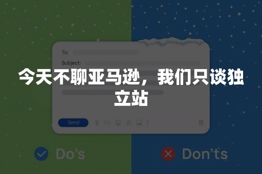 今天不聊亚马逊，我们只谈独立站