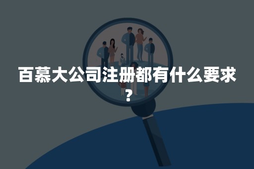 百慕大公司注册都有什么要求？