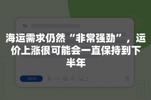 海运需求仍然“非常强劲”，运价上涨很可能会一直保持到下半年