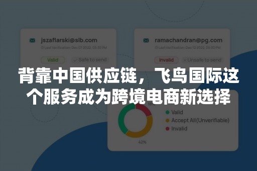 背靠中国供应链，飞鸟国际这个服务成为跨境电商新选择