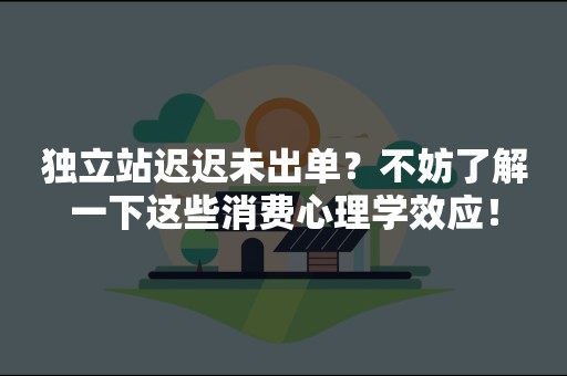 独立站迟迟未出单？不妨了解一下这些消费心理学效应！