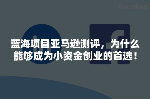 蓝海项目亚马逊测评，为什么能够成为小资金创业的首选！