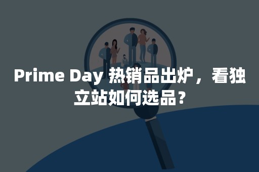 Prime Day 热销品出炉，看独立站如何选品？