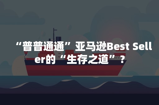 “普普通通”亚马逊Best Seller的“生存之道”？