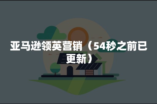 亚马逊领英营销（54秒之前已更新）
