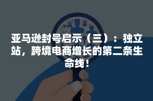 亚马逊封号启示（三）：独立站，跨境电商增长的第二条生命线！
