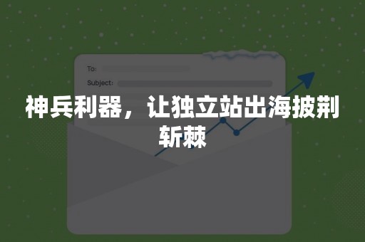 神兵利器，让独立站出海披荆斩棘