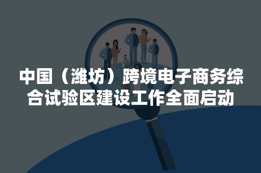 中国（潍坊）跨境电子商务综合试验区建设工作全面启动