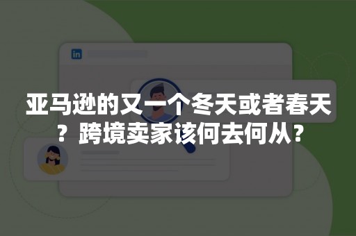 亚马逊的又一个冬天或者春天？跨境卖家该何去何从？