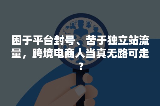 困于平台封号、苦于独立站流量，跨境电商人当真无路可走？