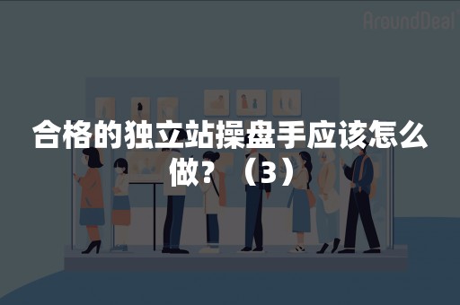 合格的独立站操盘手应该怎么做？（3）