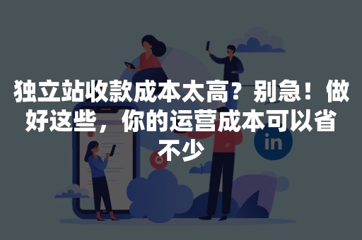 独立站收款成本太高？别急！做好这些，你的运营成本可以省不少
