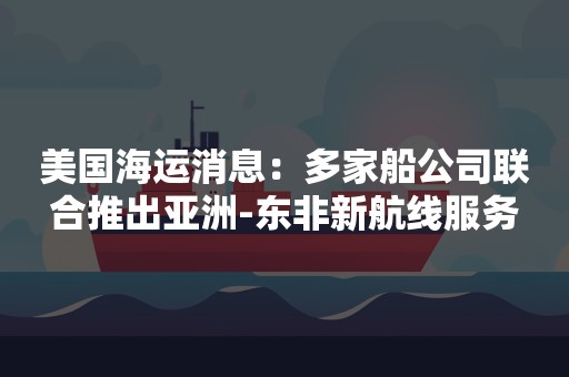 美国海运消息：多家船公司联合推出亚洲-东非新航线服务