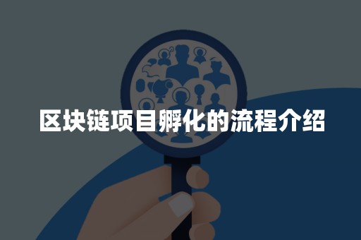 区块链项目孵化的流程介绍