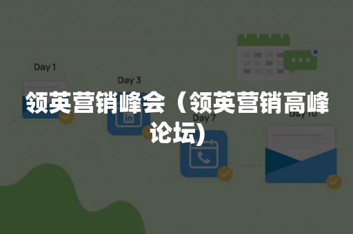 领英营销峰会（领英营销高峰论坛)