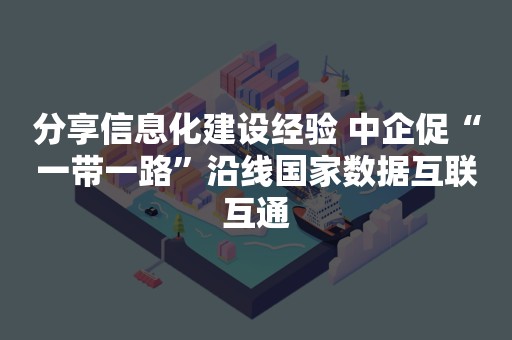 分享信息化建设经验 中企促“一带一路”沿线国家数据互联互通