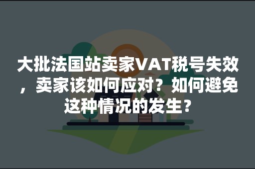 大批法国站卖家VAT税号失效，卖家该如何应对？如何避免这种情况的发生？