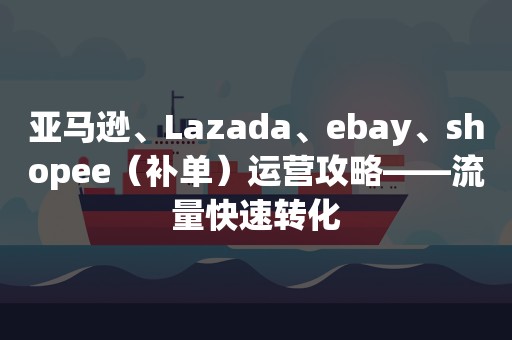 亚马逊、Lazada、ebay、shopee（补单）运营攻略——流量快速转化