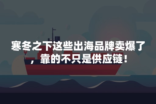 寒冬之下这些出海品牌卖爆了，靠的不只是供应链！