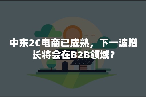 中东2C电商已成熟，下一波增长将会在B2B领域？