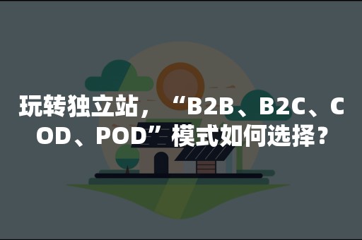 玩转独立站，“B2B、B2C、COD、POD”模式如何选择？
