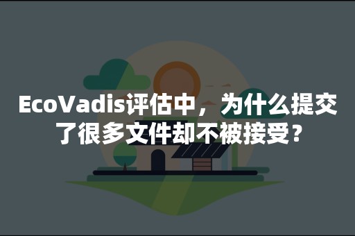 EcoVadis评估中，为什么提交了很多文件却不被接受？