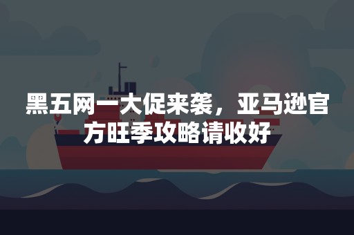 黑五网一大促来袭，亚马逊官方旺季攻略请收好