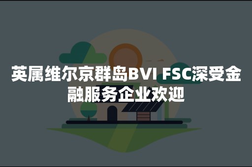 英属维尔京群岛BVI FSC深受金融服务企业欢迎