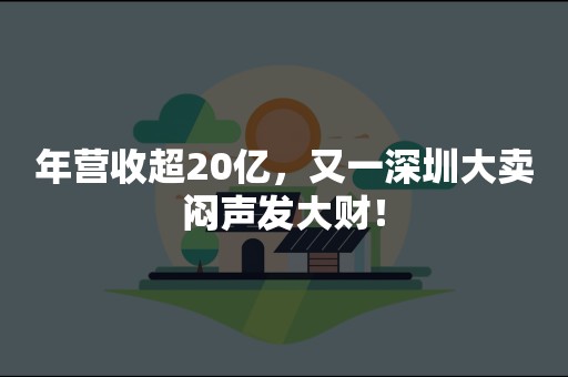 年营收超20亿，又一深圳大卖闷声发大财！