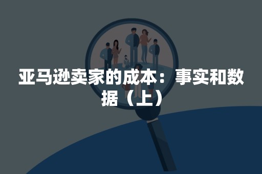 亚马逊卖家的成本：事实和数据（上）