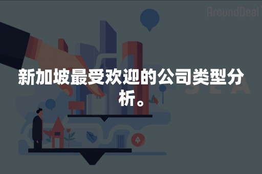 新加坡最受欢迎的公司类型分析。