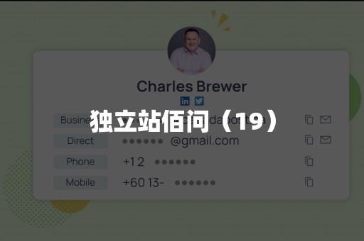 独立站佰问（19）