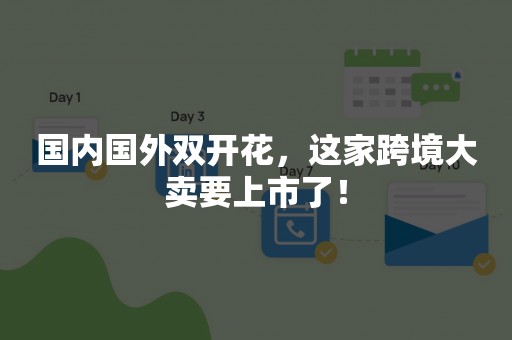 国内国外双开花，这家跨境大卖要上市了！