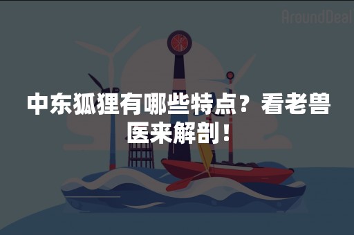 中东狐狸有哪些特点？看老兽医来解剖！