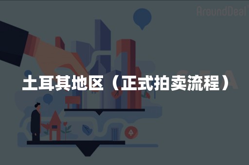 土耳其地区（正式拍卖流程）