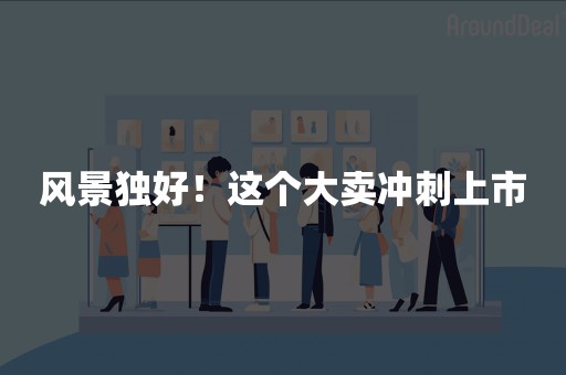 风景独好！这个大卖冲刺上市