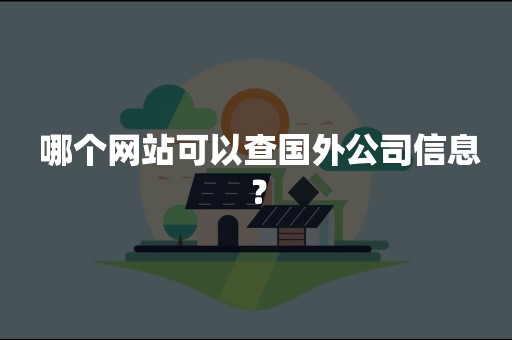  哪个网站可以查国外公司信息？