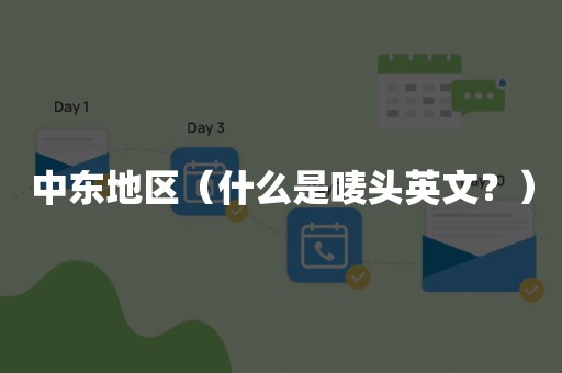 中东地区（什么是唛头英文？）