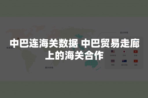 中巴连海关数据 中巴贸易走廊上的海关合作