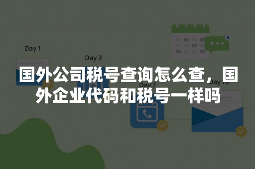 国外公司税号查询怎么查，国外企业代码和税号一样吗