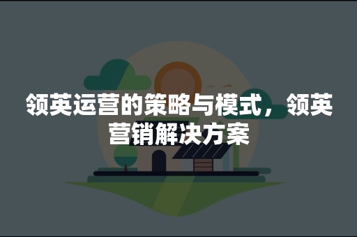 领英运营的策略与模式，领英营销解决方案