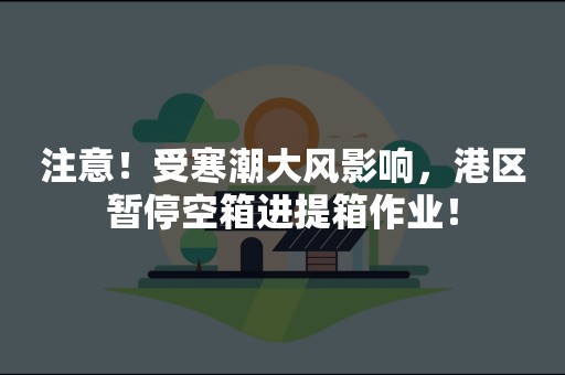 注意！受寒潮大风影响，港区暂停空箱进提箱作业！