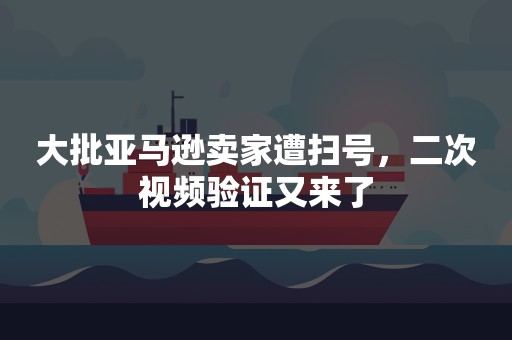 大批亚马逊卖家遭扫号，二次视频验证又来了