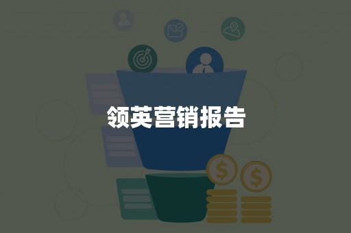 领英营销报告