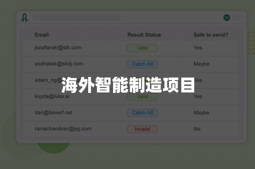 海外智能制造项目