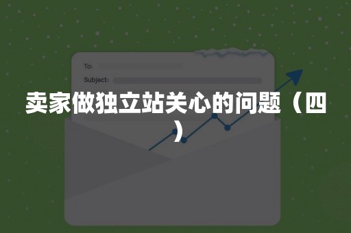 卖家做独立站关心的问题（四）