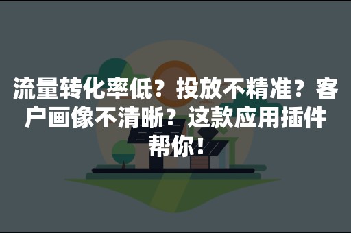 流量转化率低？投放不精准？客户画像不清晰？这款应用插件帮你！